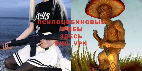 МДПВ Аркадак